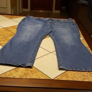 Lane Bryant Distressed Jeans